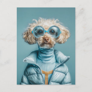 Carte Postale Chien de Mode en Tenue Bleue