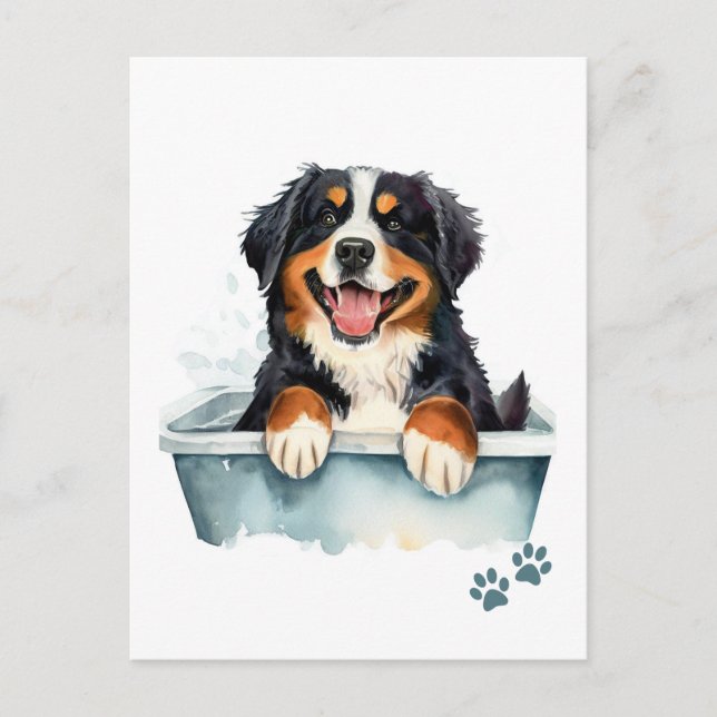 Carte Postale Chien de montagne bernois (Devant)