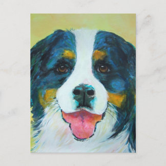 Carte Postale Chien de montagne bernois