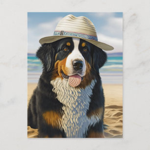 Carte Postale Chien de montagne bernois sur la plage