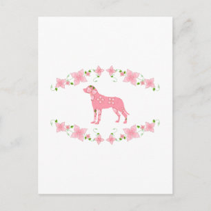 Carte Postale Chien de montagne suisse