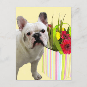 Carte postale Chien de Pâques