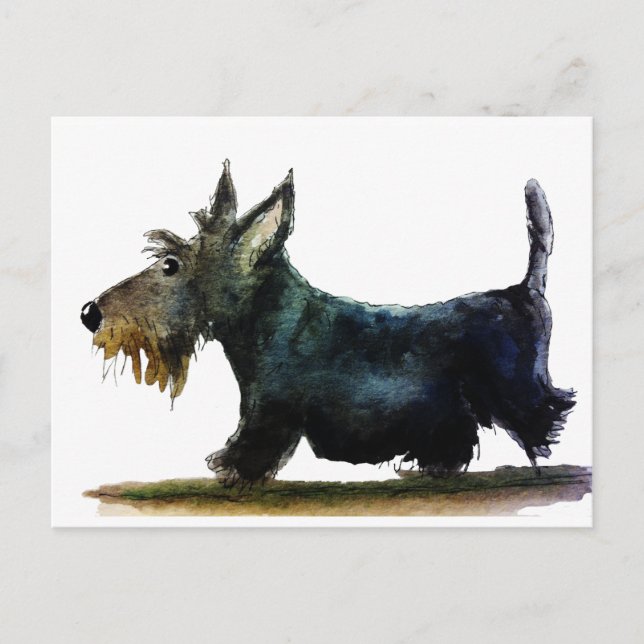 Carte Postale Chien de Scottie (Devant)