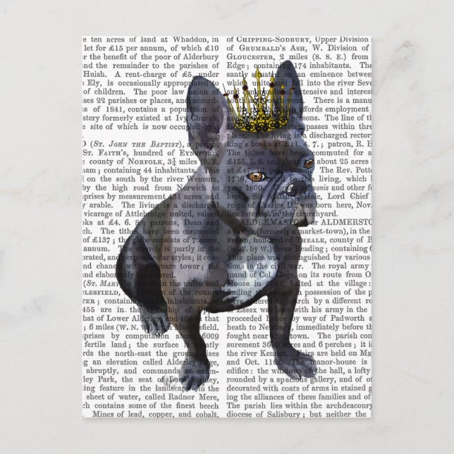 Carte Postale Chien de taureau français (Devant)