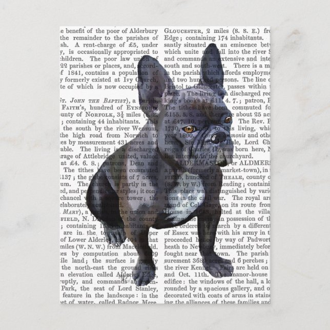 Carte Postale Chien de taureau français (Devant)