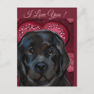 Carte Postale Chien de Terre-Neuve