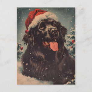 Carte Postale Chien de Terre-Neuve