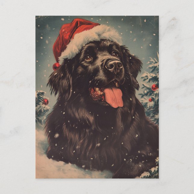 Carte Postale Chien de Terre-Neuve (Devant)