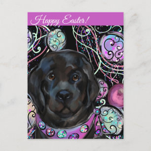 Carte Postale Chien de Terre-Neuve