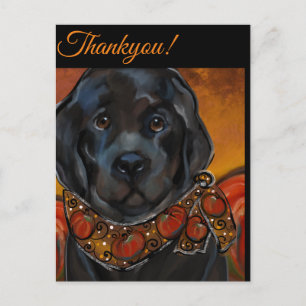 Carte Postale Chien de Terre-Neuve  