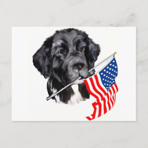 Carte Postale Chien de Terre-Neuve avec drapeau
