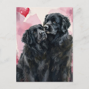 Carte Postale Chien de Terre-Neuve Saint-Valentin