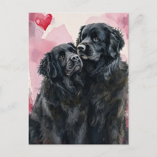 Carte Postale Chien de Terre-Neuve Saint-Valentin (Devant)