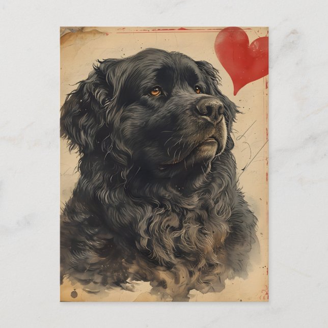 Carte Postale Chien de Terre-Neuve Vintage Saint-Valentin (Devant)