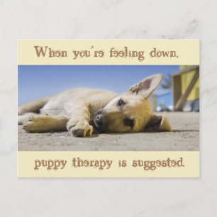 Carte postale Chien de thérapie de chiot