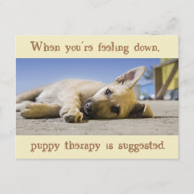 Carte postale Chien de thérapie de chiot (Devant)