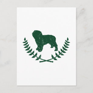 Carte Postale Chien d'eau espagnol