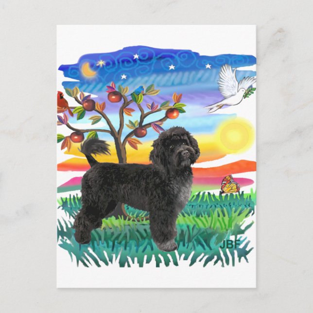 Carte Postale Chien d'eau portugais (#2) (Devant)