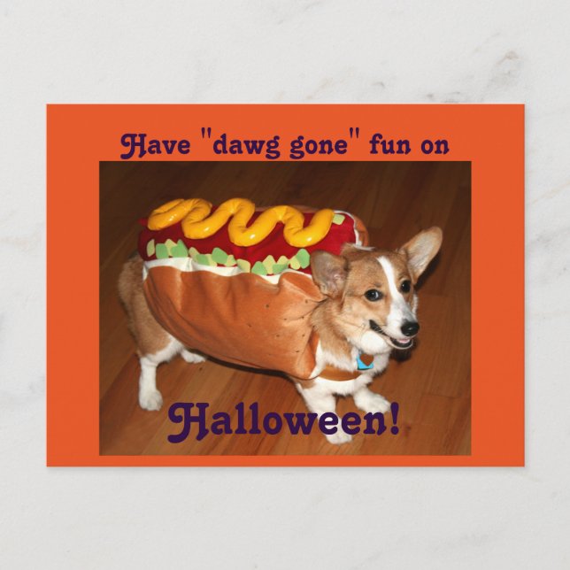 Carte Postale Chien d'Halloween (Devant)
