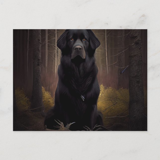 Carte Postale Chien Divers (Devant)