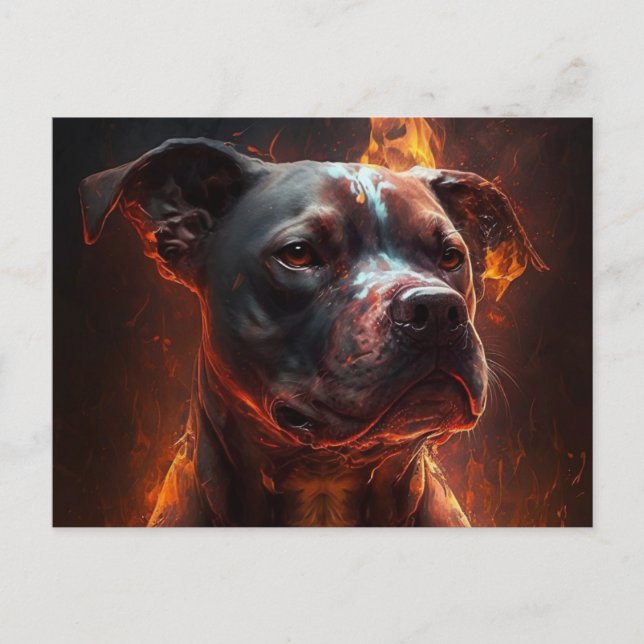 Carte Postale Chien Divers (Devant)