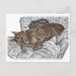 Carte Postale Chien Doberman et chiot