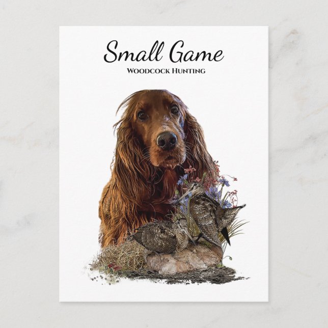 Carte Postale Chien d'oiseaux, chasse à la bécasse (Devant)