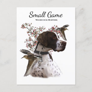 Carte Postale Chien d'oiseaux, chasse à la bécasse