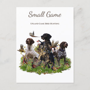 Carte Postale Chien d'oiseaux, Jeu de l'Upland Chasse aux oiseau