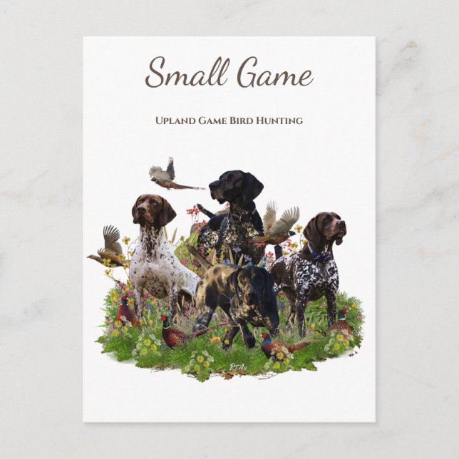 Carte Postale Chien d'oiseaux, Jeu de l'Upland Chasse aux oiseau (Devant)