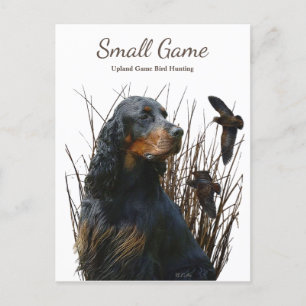 Carte Postale Chien d'oiseaux, Jeu de l'Upland Chasse aux oiseau