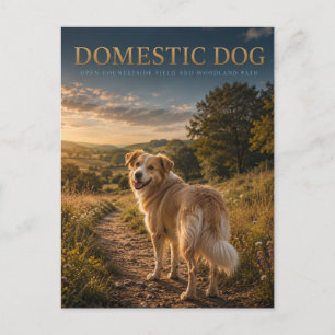 Carte Postale Chien Domestique Chemin Campagnard ANIMAUX