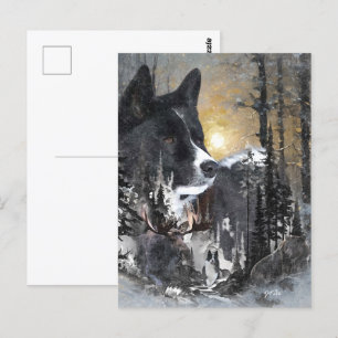 Carte Postale Chien d'ours karélien