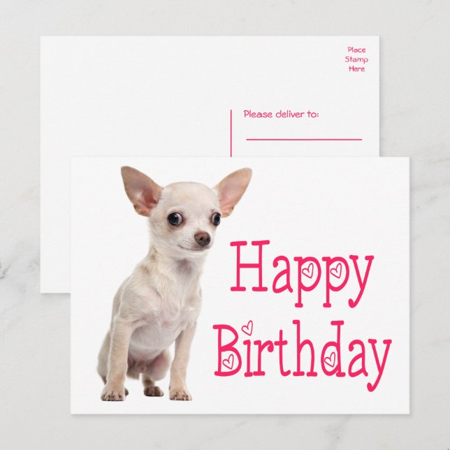Carte Postale Chien Drôle et Mignon Anniversaire Chihuahua (Devant / Derrière)