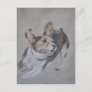 Carte Postale Chien écarlate :  Exécution