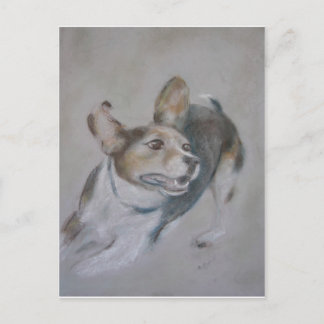 Carte Postale Chien écarlate : Exécution