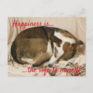 Carte Postale Chien endormi