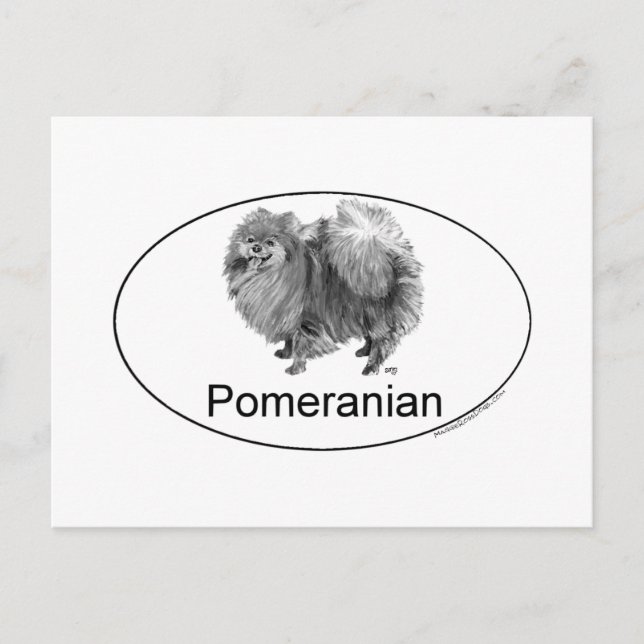 Carte Postale Chien Eruo Pomeranian (Devant)