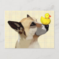Chien et canard
