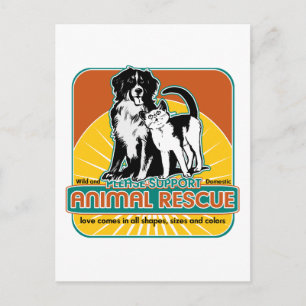 Carte Postale Chien et chat animaux de délivrance