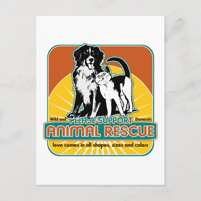 Carte Postale Chien et chat animaux de délivrance (Devant)