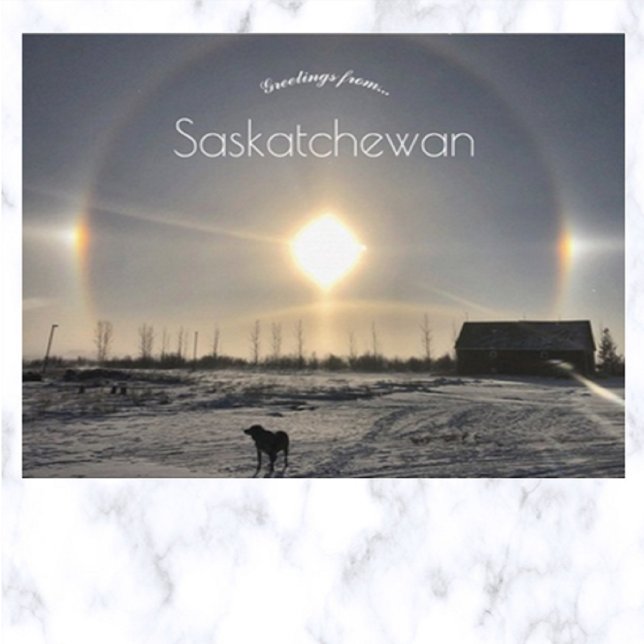 Carte Postale Chien et chien solaire dans Archydal Saskatchewan  (Créateur téléchargé)