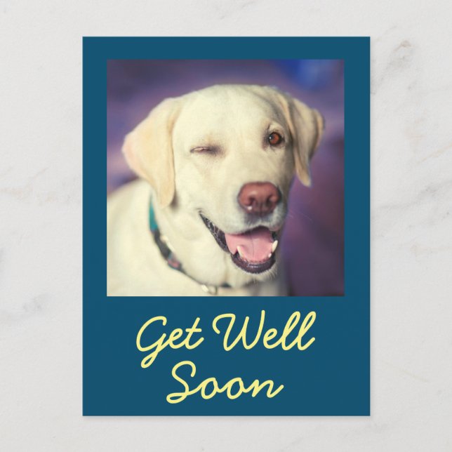 Carte Postale Chien et encouragement amusant se porter bien (Devant)