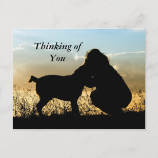 Carte Postale Chien et femme Sunset Silhouette
