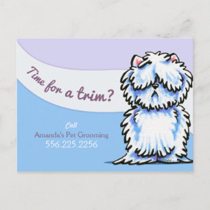 Carte Postale Chien Groomer Shabby Westie Publicité Mailer