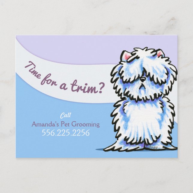 Carte Postale Chien Groomer Shabby Westie Publicité Mailer (Devant)