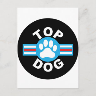 Carte Postale chien haut