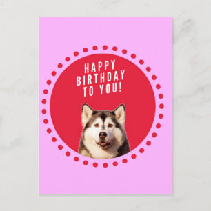 Carte Postale Chien Husky Sibérien mignon qui souhaite un joyeux