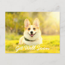 Chien jaune et l'encouragement se portent bien