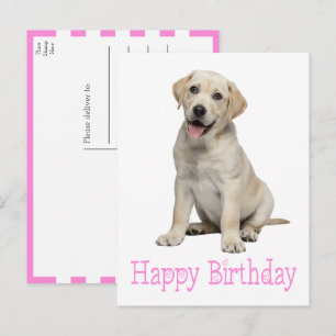 Carte Postale Chien Labrado Retriever Jaune Anniversaire Chiots